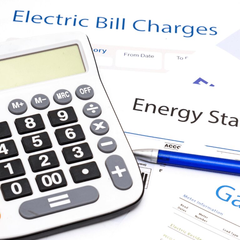 Read more about the article Don’t FERC With U.S. Energy Needs