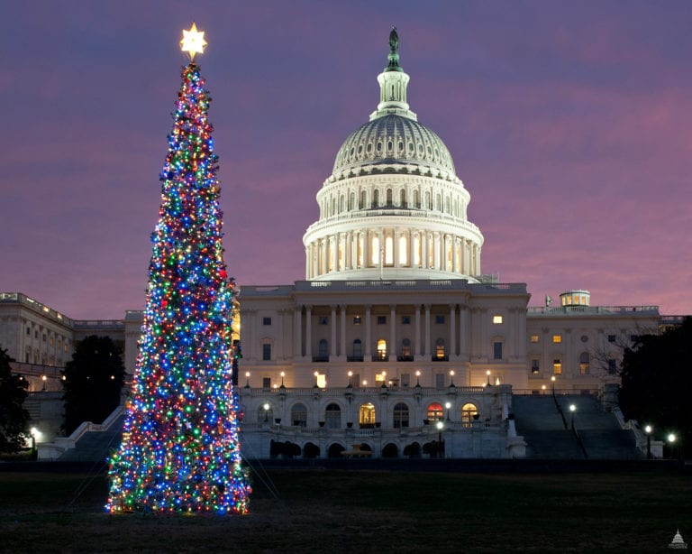 Read more about the article Naughty and Nice