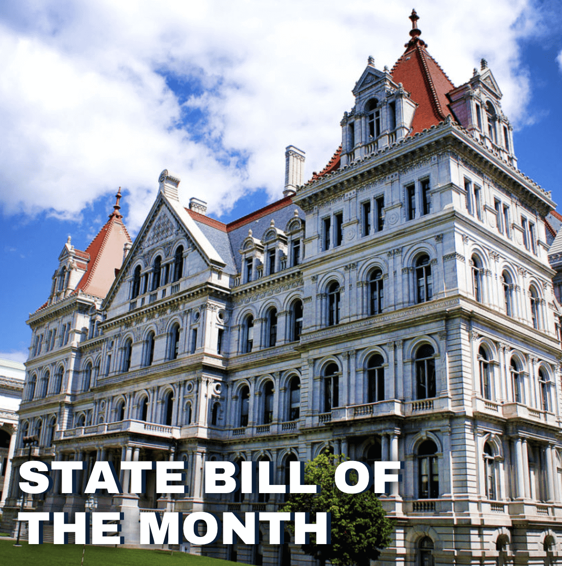 State Bills State Bill of the Month – September 2024: New York S9899 - Taxpayers ...