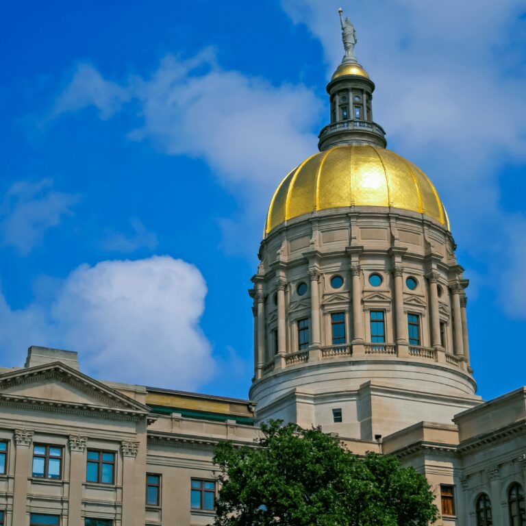 Read more about the article TPA Testimony to Georgia General Assembly’s Joint Tax Credit Review Panel