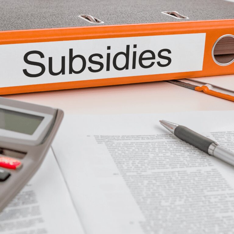 Read more about the article TPA Coalition Opposes Unnecessary Wind and Solar Subsidies