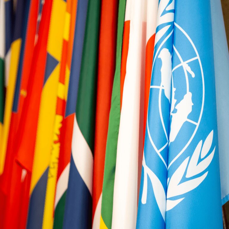 Read more about the article TPA Continues to Cover COP9
