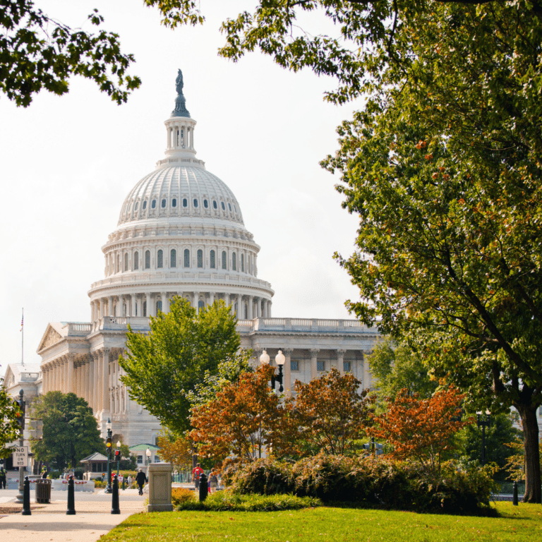 Read more about the article TPA Releases Policy Priorities for the 118th Congress